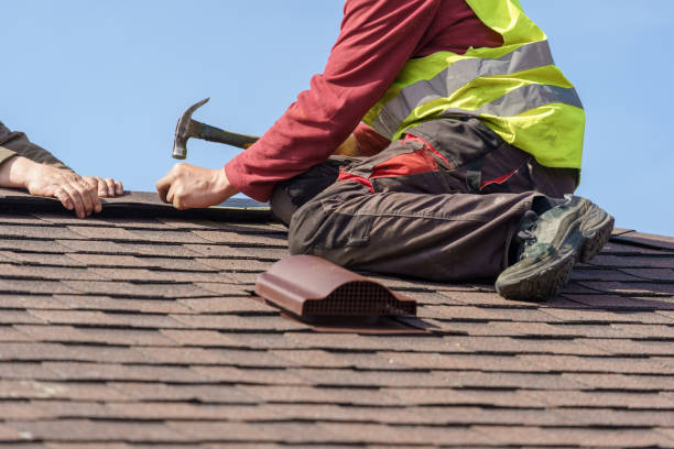 Best Roof Gutter Cleaning  in Pleasureville, PA