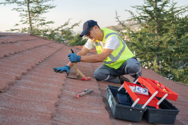 Roof Gutter Cleaning in Pleasureville, PA