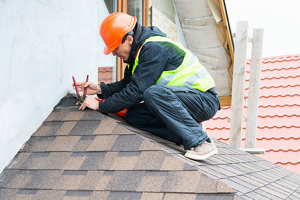 Roof Gutter Cleaning in Pleasureville, PA