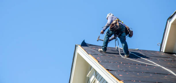 Best Local Roofing Companies  in Pleasureville, PA